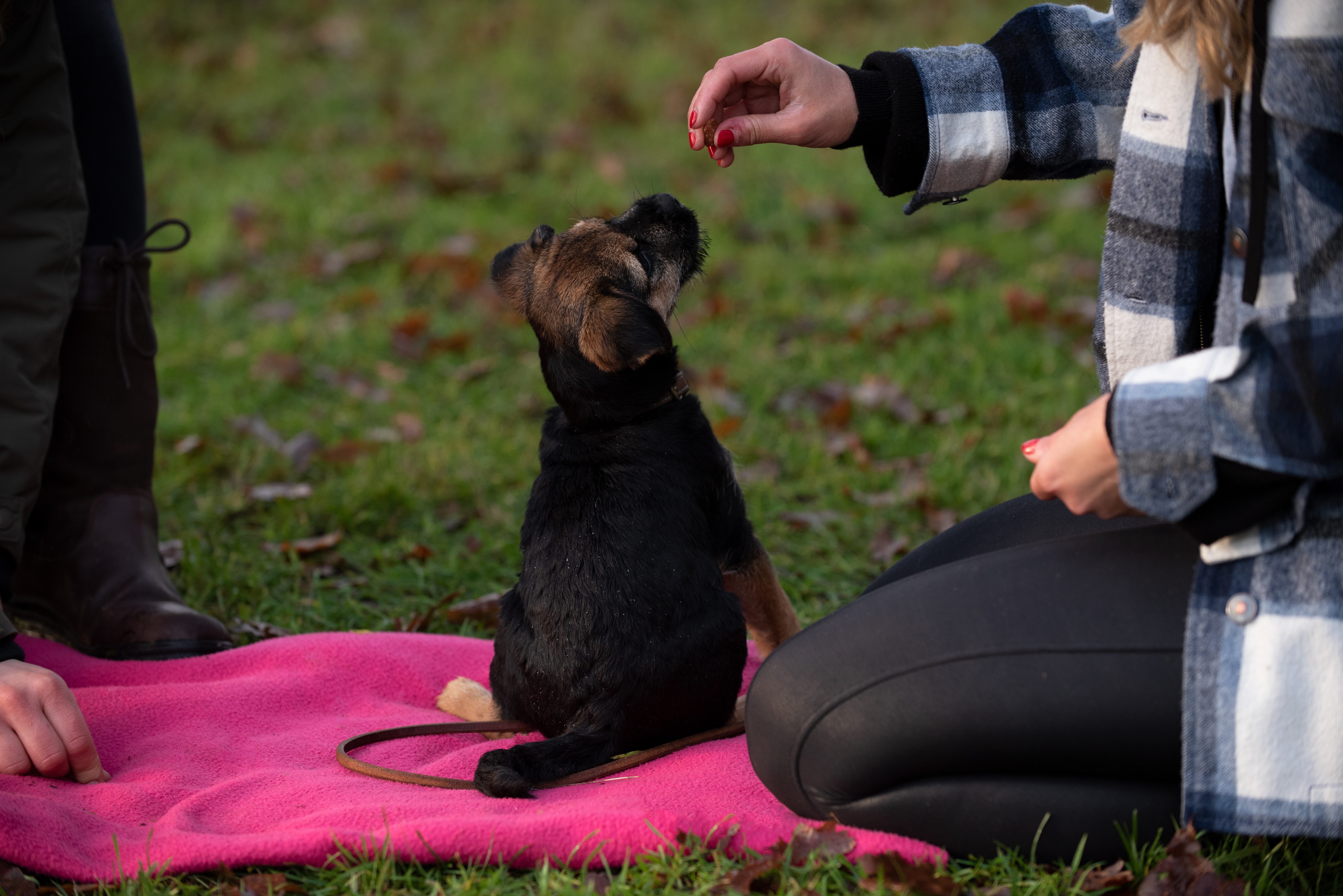 Bregje met hond